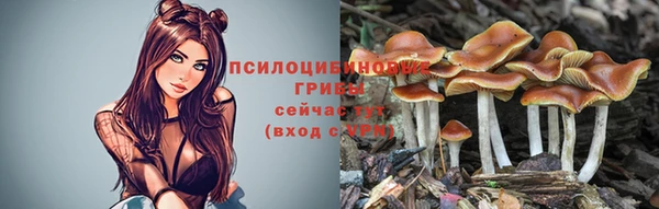 таблы Гусиноозёрск