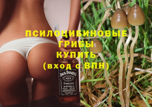 таблы Гусиноозёрск