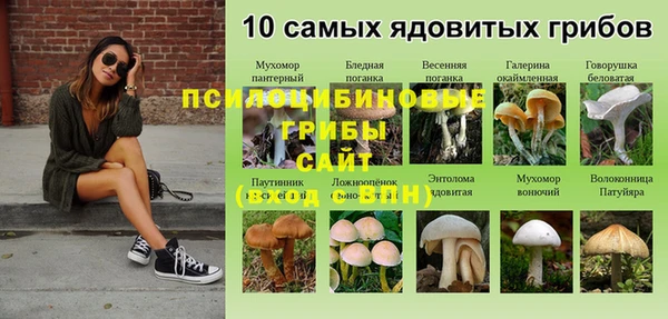 ALPHA-PVP Гусь-Хрустальный